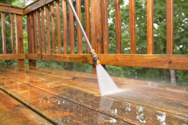 Animal Enclosure Cleaning in Milton, FL